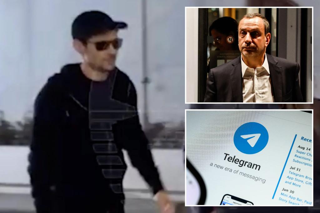 Pavel Durov's lawyer says French investigation against Telegram boss 'absurd'