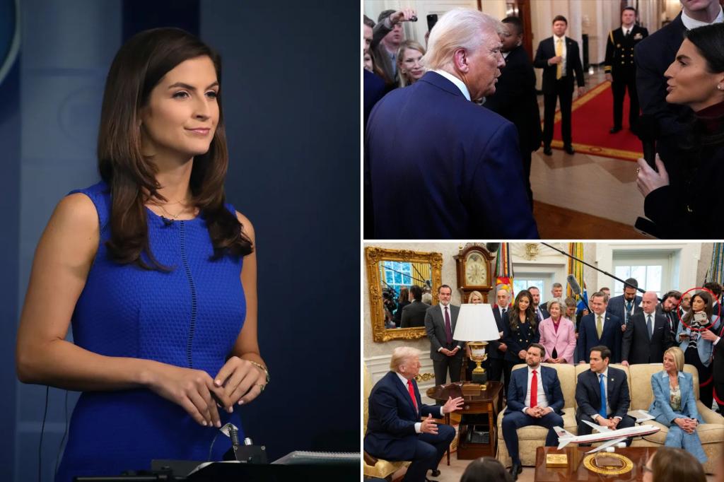 Kaitlan Collins of CNN claims Trump 'seemed to withdraw' after he intended it at a tense conference of the Oval Office for the expulsion of the alleged MS-13 member